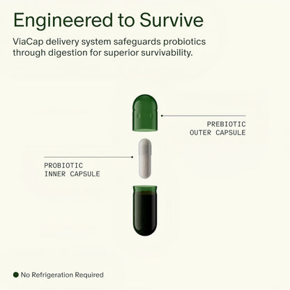 Daily Synbiotic